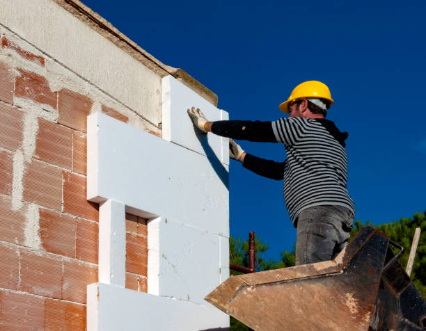 Best Insulation Inspection Services  in Philadelphia, MS