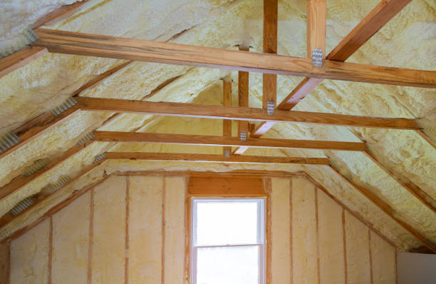 Best Local Insulation Services  in Philadelphia, MS