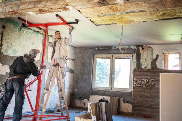 Best Professional Insulation Contractor  in Philadelphia, MS