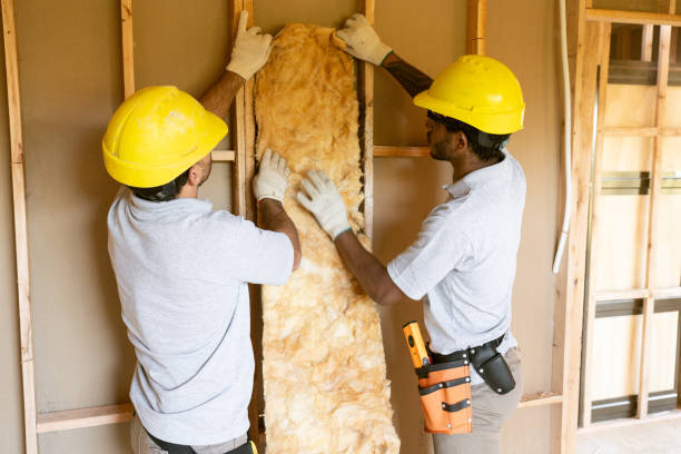 Best Cellulose Insulation  in Philadelphia, MS