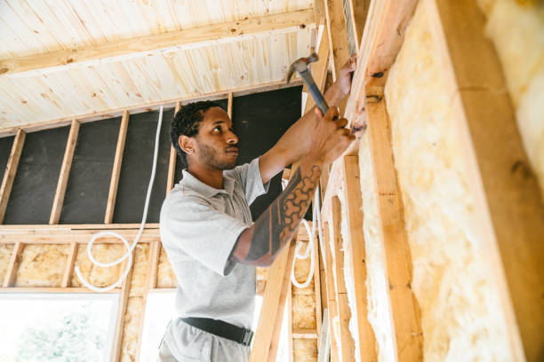 Best Best Insulation Companies  in Philadelphia, MS