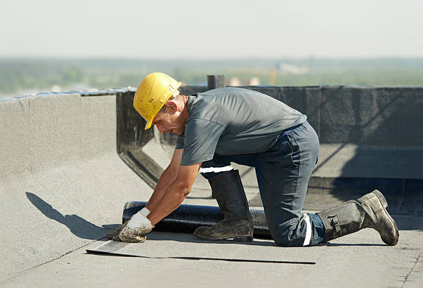 Best Insulation Removal  in Philadelphia, MS