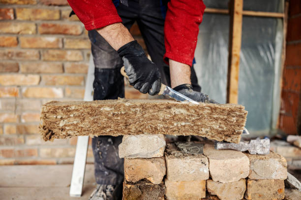 Best Affordable Insulation Services  in Philadelphia, MS