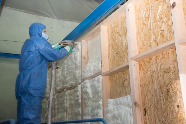 Best Insulation Replacement Services  in Philadelphia, MS