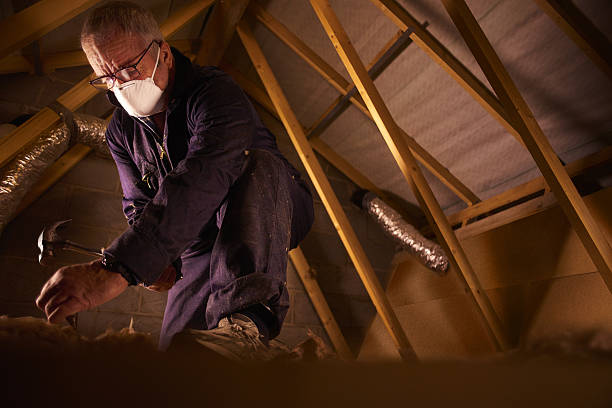 Best Commercial Insulation Contractor  in Philadelphia, MS