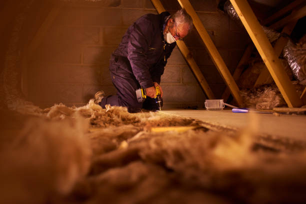 Best Home Insulation Services  in Philadelphia, MS